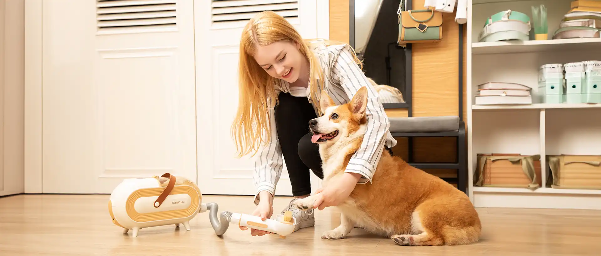 Exploring the Features and Functions of Pet GPS Trackers